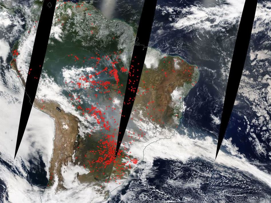 The fires, represented by red dots have spread across the rainforest: Screenshot/NASA