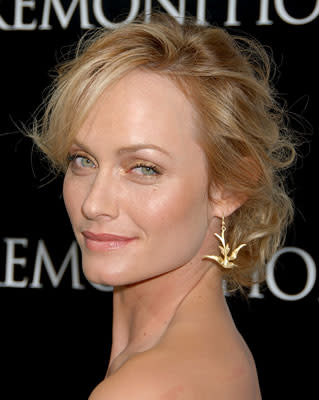 Amber Valletta at the Hollywood premiere of TriStar Pictures' Premonition