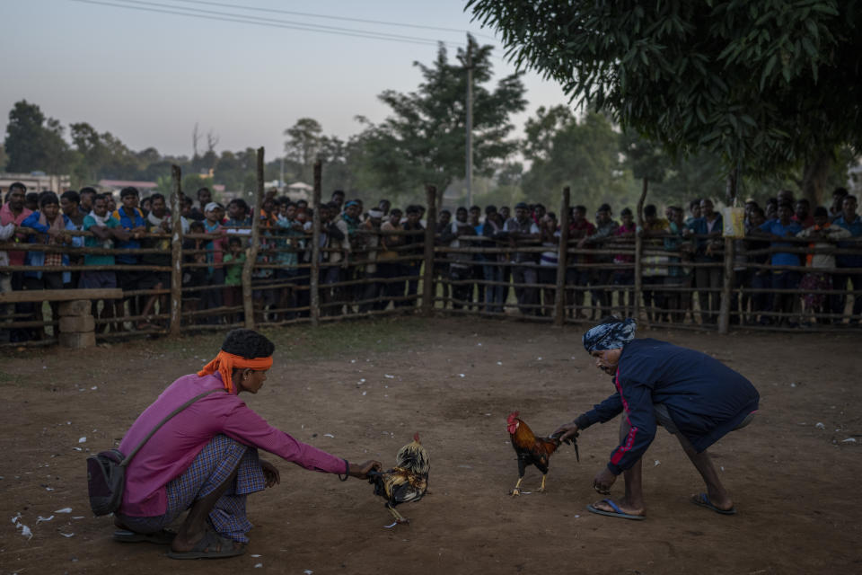 Tribal men participate in cockfighting contest at a weekly market, where hundreds gather from far-flung villages to buy basics or to attend the keenly contested cockfighting tournament, in Orchha in central India's Chhattisgarh state, Nov. 16, 2022. Motorbike ambulances are helping pregnant women and very sick patients to reach hospitals in Naryanpur district, in central India's Chhattisgarh state. Many of the heavily forested district's villages are nearly inaccessible, often miles away from motorable roads and connected only by rough paths spanning over streams and hills. The state's health system has struggled to reach remote villages that can be ten miles or more from roads. The lack of roads often forces villagers to resort to makeshift palanquins to transport the very sick. (AP Photo/Altaf Qadri)