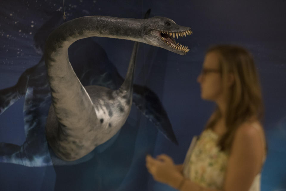 In this Jan. 16, 2019 photo, a sculpture of a Plesiosaur is displayed at an exhibit about the studies of researchers from the National Museum made in Antartica, during a media presentation of the exhibit in Rio de Janeiro, Brazil. The National Museum will inaugurate on Jan. 17 their first exhibition after the fire, held at the building that houses the Cultural Center and Museum of Brazil's Mint. (AP Photo/Leo Correa)