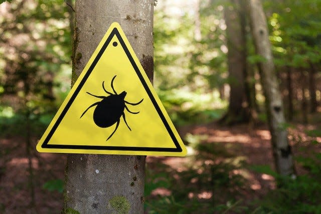 Cases of Lyme disease, caused by tick bites, were up in Ottawa County in 2021.