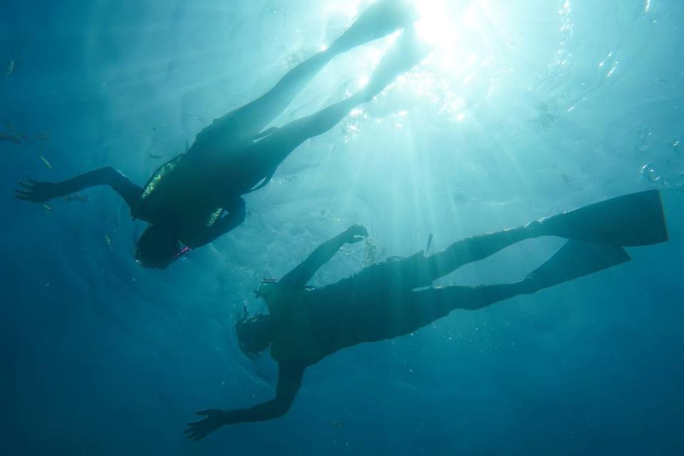 Want to get away from it all? The Biscayne National Park Institute has started a new Small Group Snorkel Experience to maintain social distancing on snorkeling trips to the reef, mangroves or shipwrecks.
