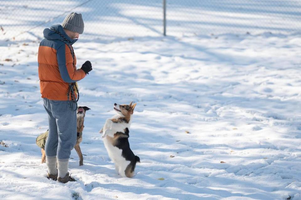 A local resident plays with their dogs near the tennis courts at Hyde Park following Kansas City’s first snowfall of the season on Sunday, Nov. 26, 2023.