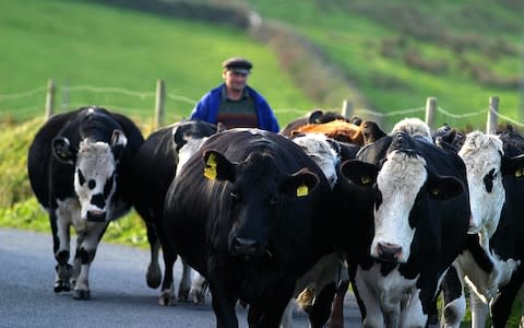 Beara peninsula - Credit: Getty