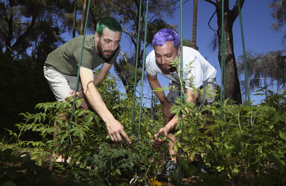 In this Monday, March 30, 2020, photo Luke Blaine, right, and partner Kyle Schomer, left, tend to their garden at their home in Phoenix. Blaine, 30, a bartender at Fez, a popular restaurant in downtown Phoenix, was laid off with the rest of the staff when the business shut completely to follow Arizona’s state precautions amid the pandemic. Schomer, who’s also 30, works from home in technology, and shares the rent in a stylish neighborhood of small adobe-style homes. (AP Photo/Ross D. Franklin)