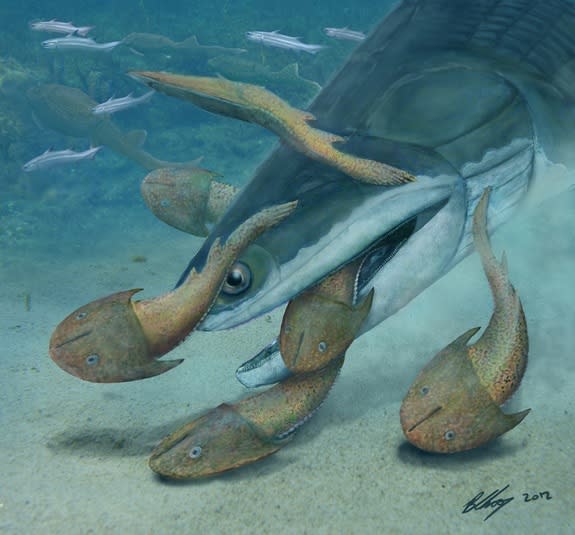 In the sea of the Late Silurian, the <i>Megamastax amblyodus</i> consumes the jawless armored fish <i>Dunyu longiforus</i>