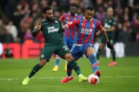 Premier League - Crystal Palace v Newcastle United