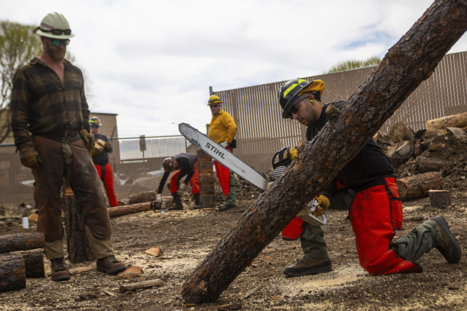 Aravaipa Hotshot Patrick O'Donnell, left, instructs a Wildfire Academy student using a chainsaw, Monday, March 11, 2024, in Prescott, Ariz. Forecasters are warning that the potential for wildfires will be above normal in some areas across the United States over the coming months as temperatures rise and rain becomes sparse. (AP Photo/Ty ONeil)