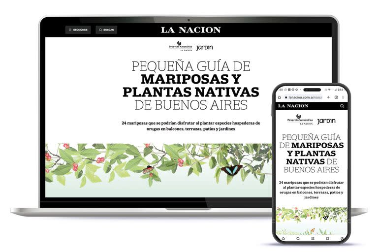 "El desafío de repoblar las ciudades con mariposas a través de biocorredores de plantas nativas" recibió una mención honorífica