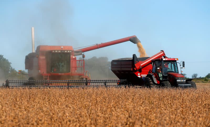 A combine harvester is used to harvest soybeans on a farmland in Chivilcoy, on the outskirts of Buenos Aires