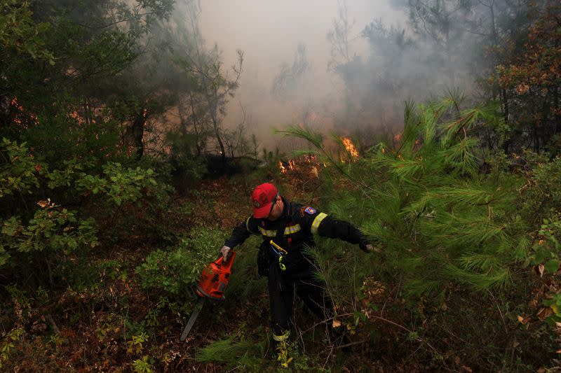 Wildfire still rages in the region of Evros