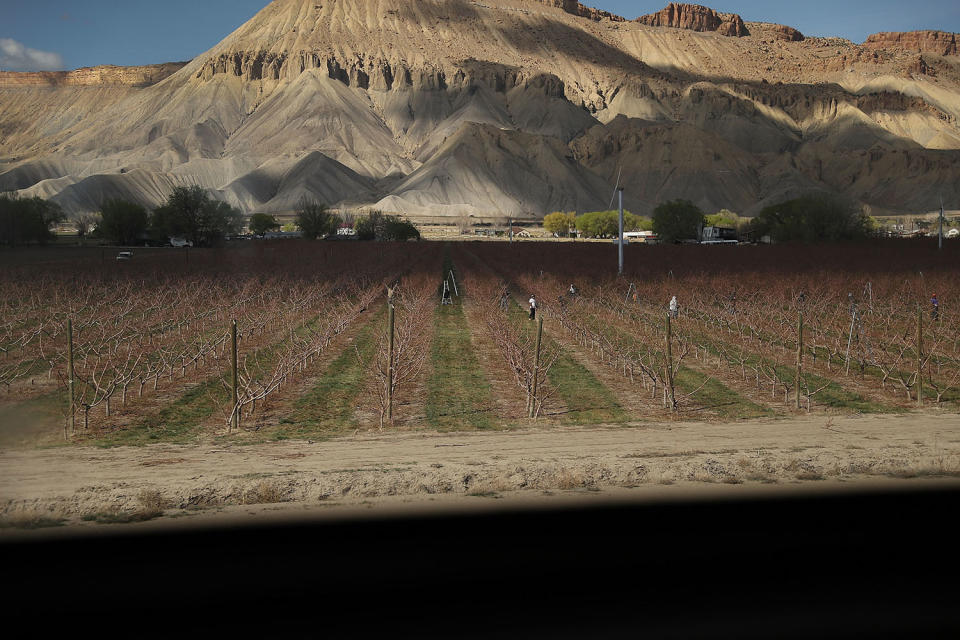 Amtrak train rolling past Colorado farm