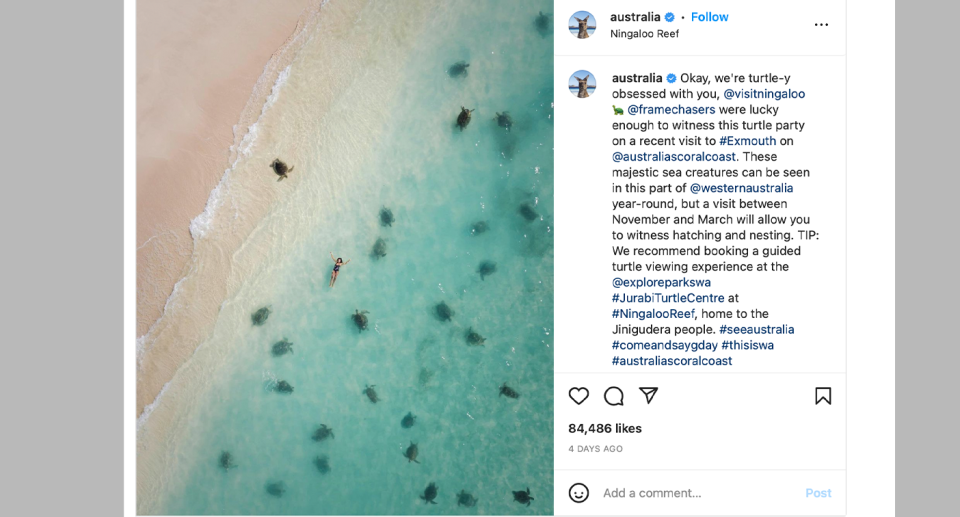 Tourism Australia removed an image from its Instagram account showing a woman reclining in the water amongst wild sea turtles. Source: @framechasers/Instagram