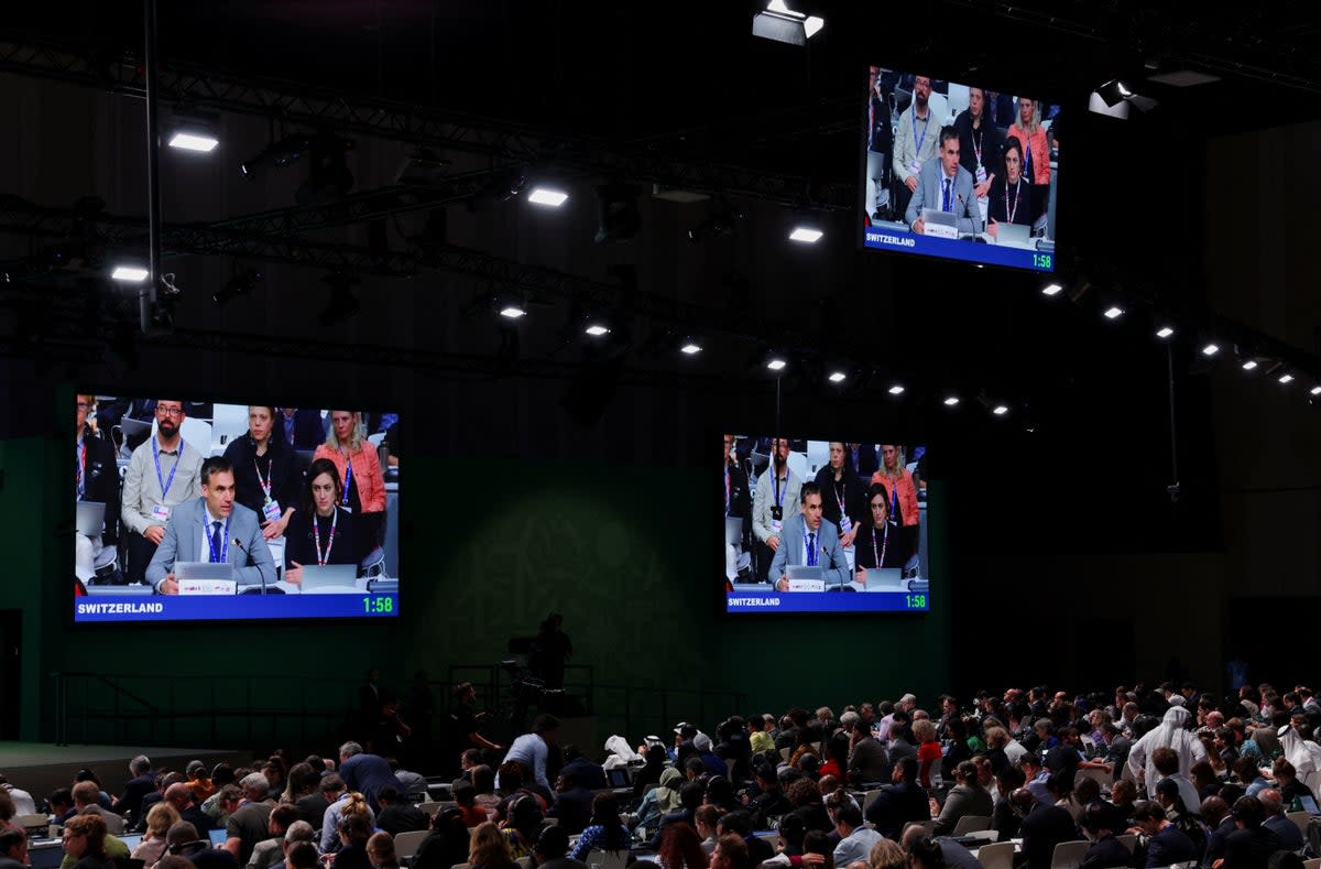 A delegate from Switzerland speaks during the final plenary meeting at Cop28 on 13 December (REUTERS)