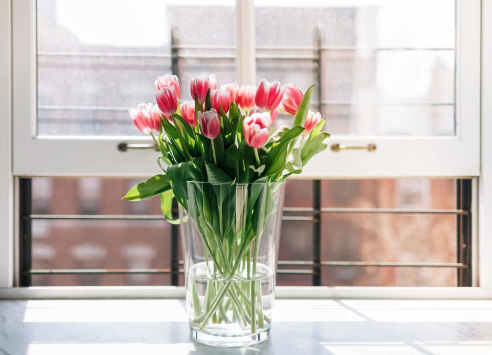 fresh tulips in vase on window