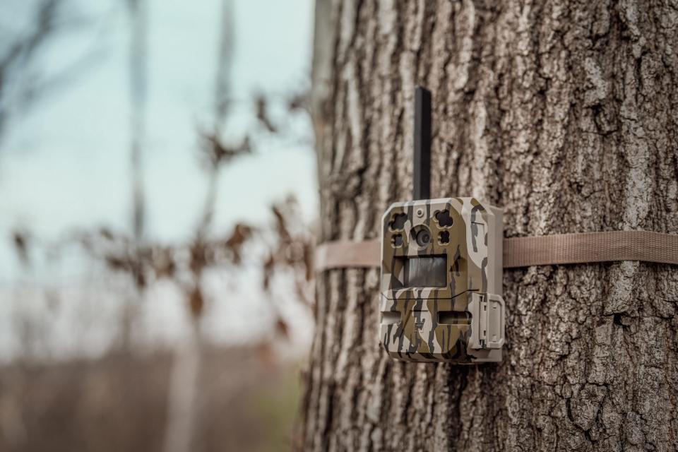 moultrie mobile edge pro