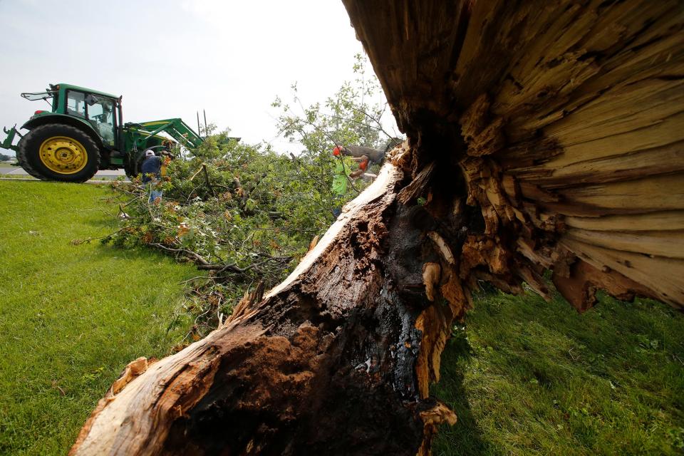 The remnants of a tree are removed following storm damage at Jared Neer's home on the western edge of Lacona, Iowa. An early morning storm Tuesday  damaged buildings and trees in and around Lacona.