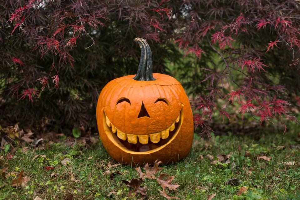 happy jack o'lantern