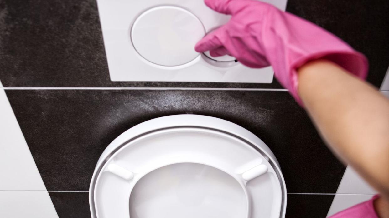 woman cleaning toilet with toilet brush