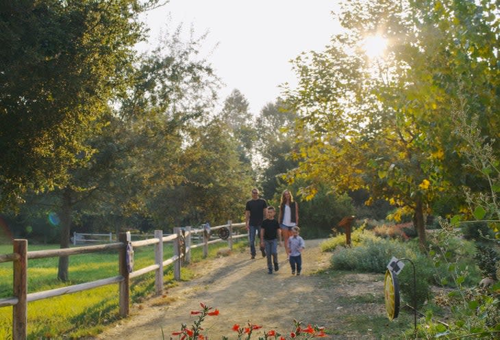 Santa Ynez Botanical Garden in Buellton