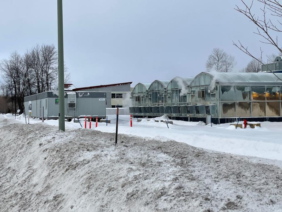 Medicago's vaccine facility in the Quebec City area is being shut down because its parent company, Mitsubishi Chemical, says the markets for vaccines has changed dramatically.