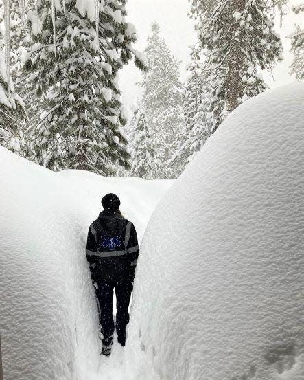 Park employee in Lodgepole exiting their home with a narrow path between snow berms and snow-covered trees ahead.