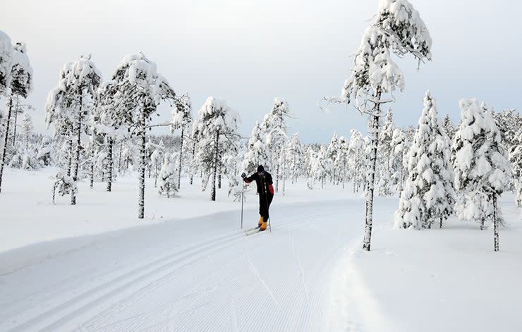 Cross-Country Skiing