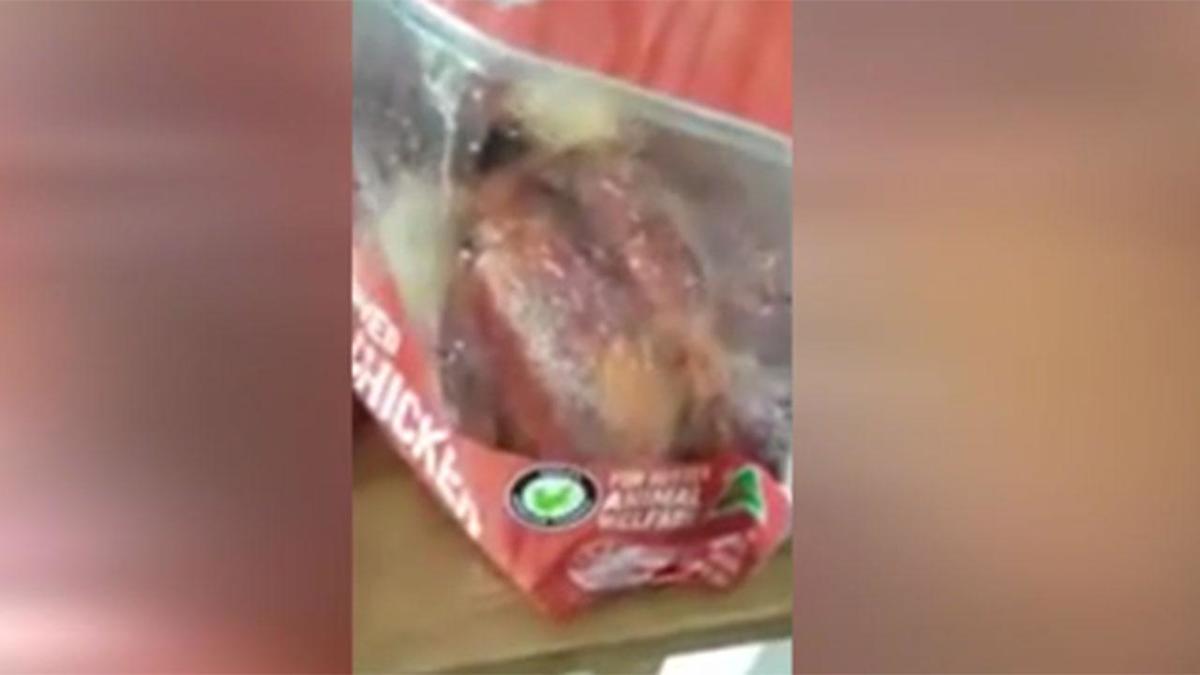 Perth Woman Finds Maggots In Coles Hot Chicken 1996