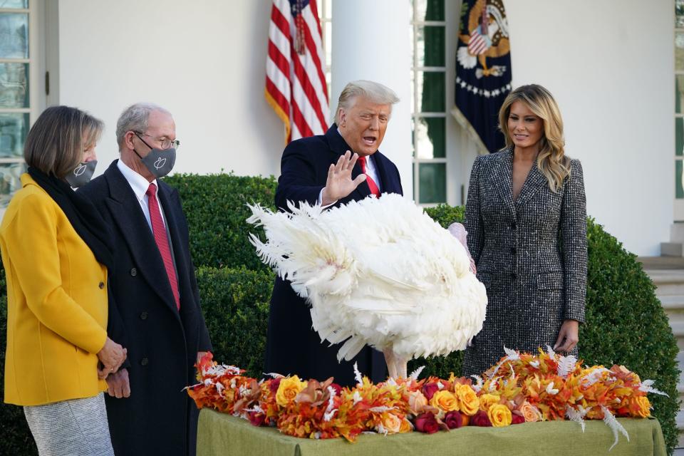 First lady Melania Trump looks on as President Trump gives the National Thanksgiving Turkey 