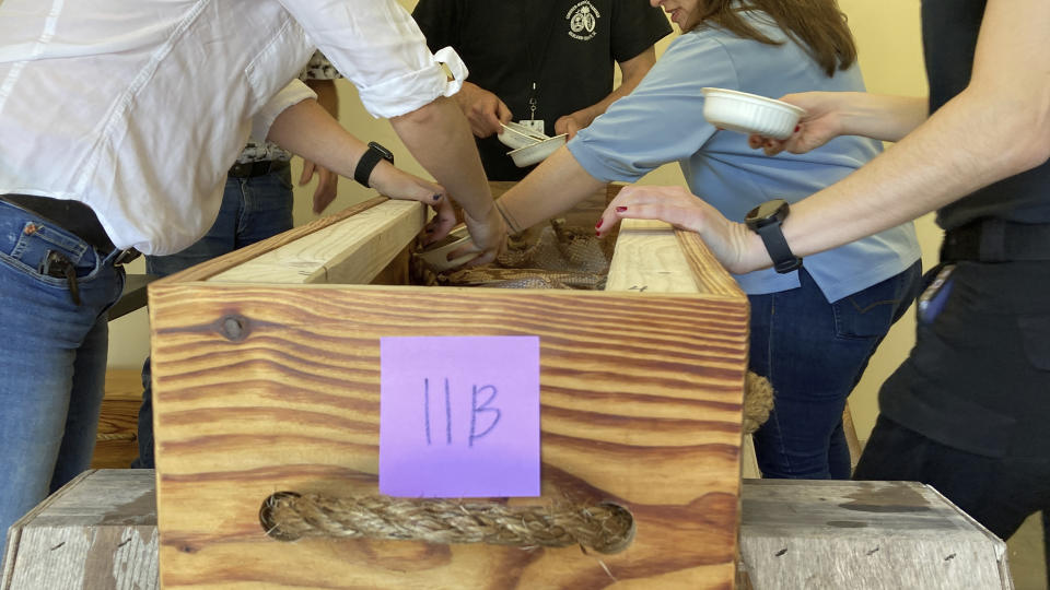 Forensic anthropologists, archeologists and volunteers prepare the remains of an unidentified Revolutionary War soldier killed in the Battle of Camden in 1780 for reburial on Thursday, March 30, 2023, in Columbia, South Carolina. The remains of 14 soldiers were removed from the battlefield, studied and analyzed and will be buried in a ceremony. (AP Photo/Jeffrey Collins)