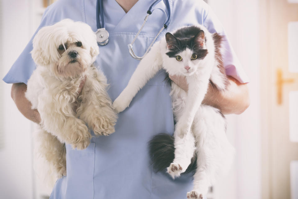 A veterinarian holds a dog under one arm and a cat under the other.