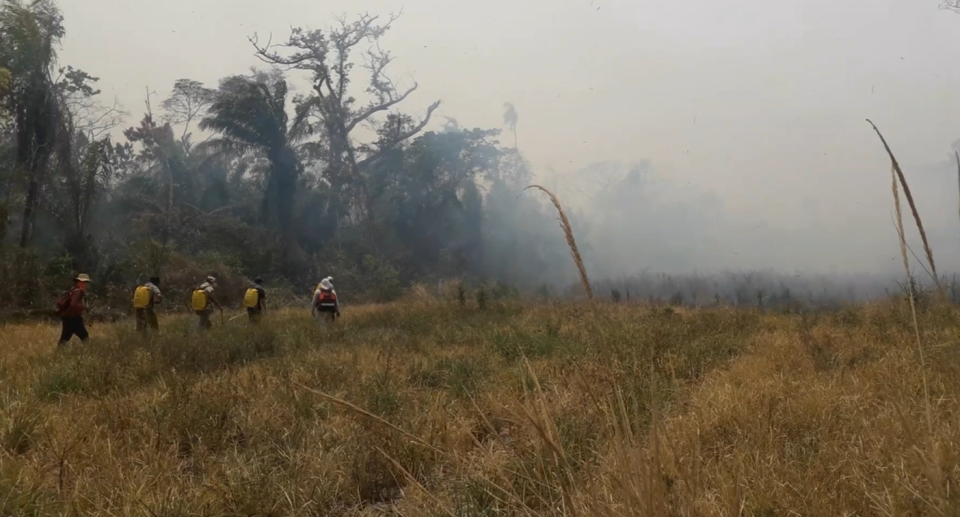 Grasslands - a group of five volunteers walk towards the smoke. 