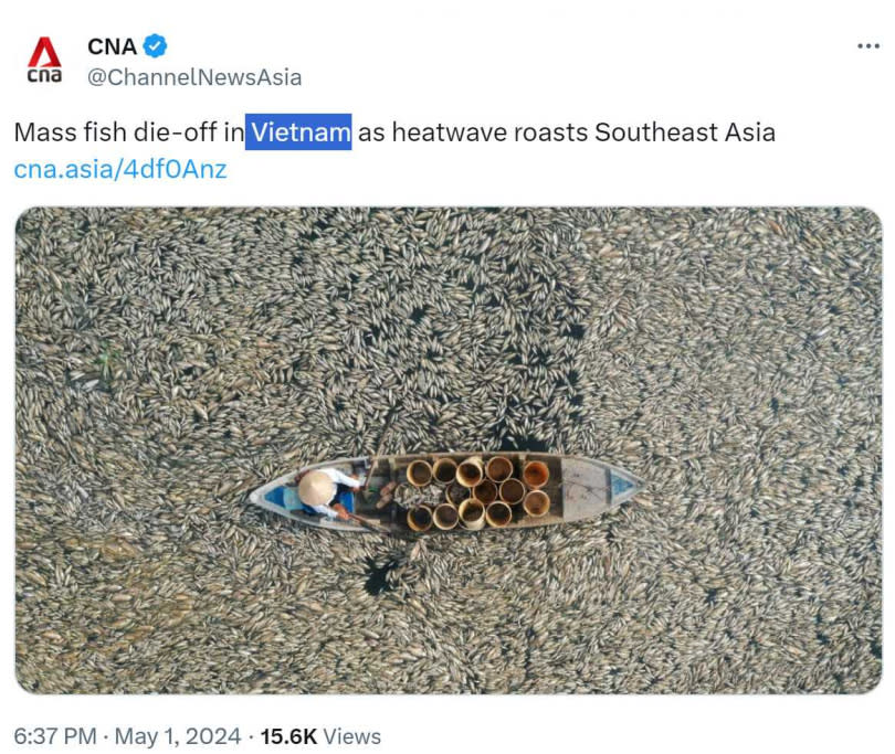 越南南部一座水庫因炎熱天氣、水庫管理不善導致數十萬條魚暴斃。（圖／翻攝自X）