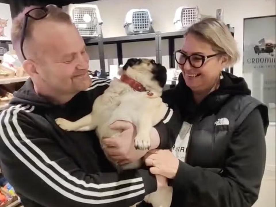 Matthias and Lana Jonsson were reunited with their pugs Mafia, 3, and Maria, 1, after 11 days (Barney Davis)