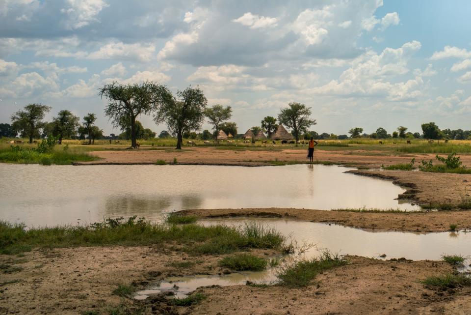 A person is seen walking along a swamp.