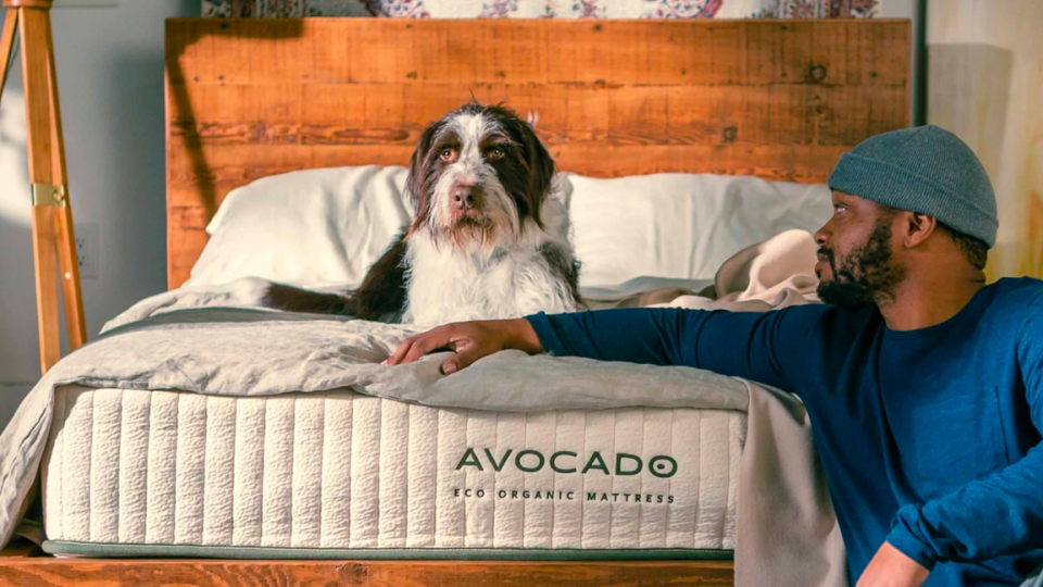 Eco-friendly mattresses: Avocado Eco Organic mattress