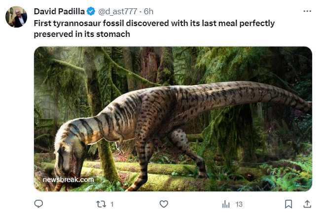 暴龍化石發現生前最後一餐顯示挑食「重質不重量」。（圖／翻攝自推特）