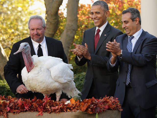 Chip Somodevilla/Getty Barack Obama and a turkey