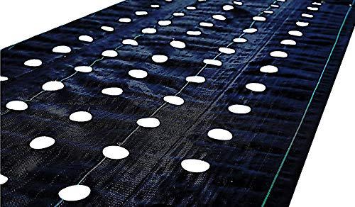 5) Heavy Duty Landscape Weed Control Fabric with Precut 6" Hole Spacing, This Newly Designed Mat is The Perfect Gardening Weed Blocker Barrier Ground Cover for Commercial Farm and Garden (3FT X 50FT)