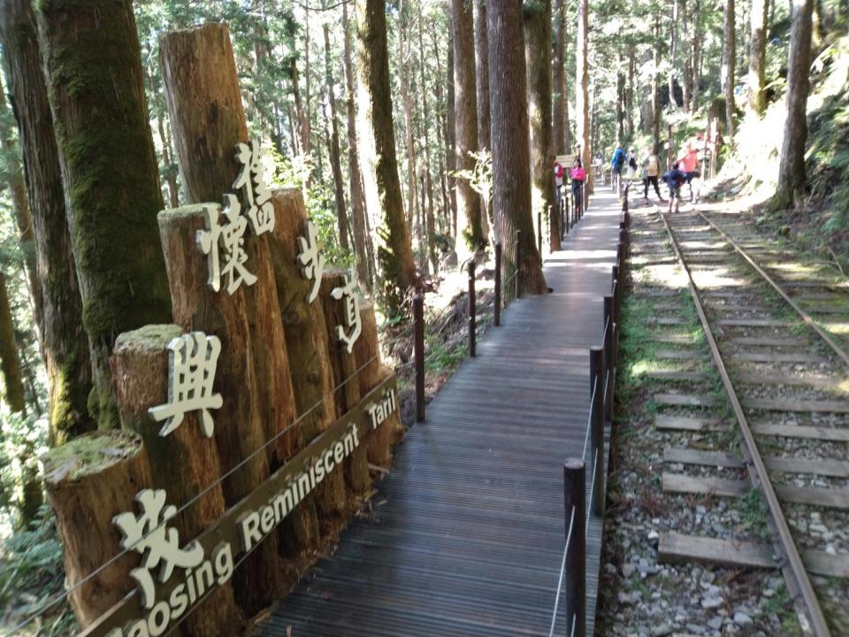 太平山懷舊鐵道、紅檜山林有如電影場景令人驚豔。（中華旅行社提供）