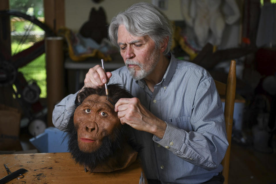 Paleoartist John Gurche inserts individual strands of hair on a male Paranthropus robustus model at his studio in Trumansburg, N.Y., Wednesday, May 31, 2023. “These were once living, breathing individuals. And they felt grief and joy and pain,” Gurche said. “They’re not in some fairyland; they’re not some fantasy creatures. They were alive.” (AP Photo/Heather Ainsworth)