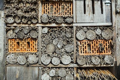A backyard ‘insect hotel’ for solitary bees and other nesting insects, made from stems, bricks and wood blocks. <a href="https://www.gettyimages.com/detail/news-photo/insect-hotel-for-solitary-bees-and-artificial-nesting-place-news-photo/601067110" rel="nofollow noopener" target="_blank" data-ylk="slk:Arterra/Universal Images Group vis Getty Images;elm:context_link;itc:0;sec:content-canvas" class="link ">Arterra/Universal Images Group vis Getty Images</a>