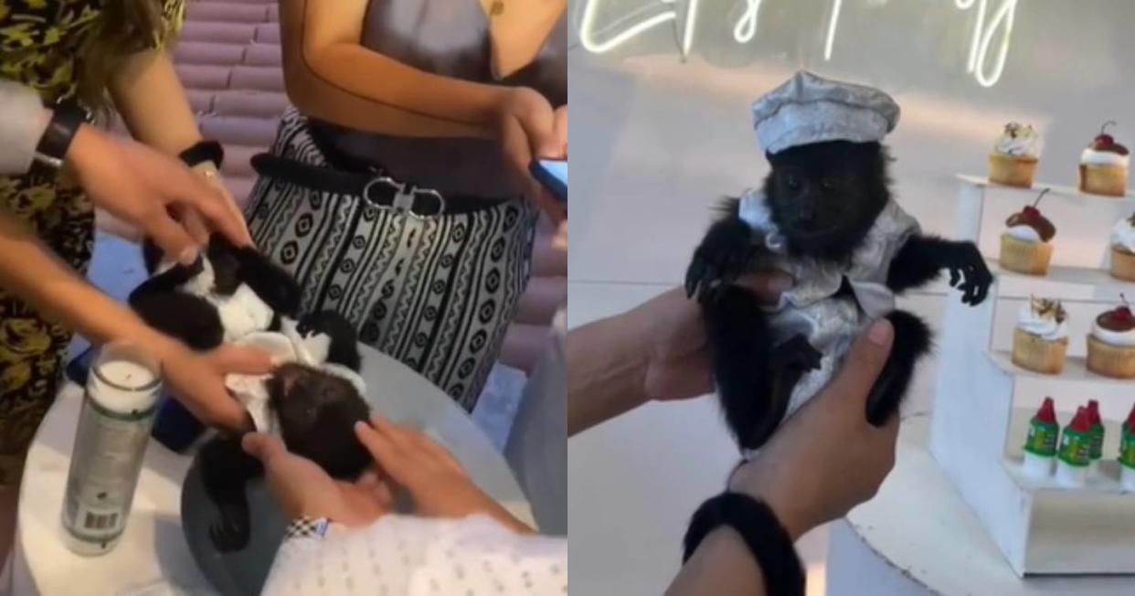 Foto: Captura de video TikTok vía @mimi97