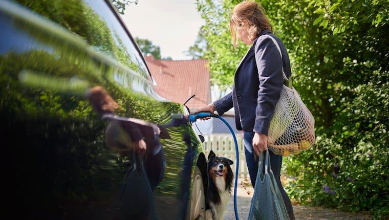 Study Says Dogs Prefer Riding in Electric Cars