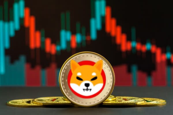 Shiba Inu planea lanzar una nueva red blockchain, con inversiones a través de tokens de gobernanza llamados TREAT