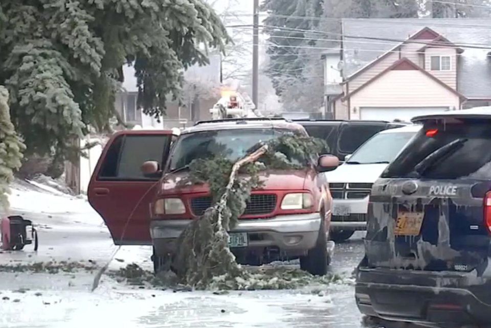 Two adults and a teenager were electrocuted after a tree and a power line fell on a truck in Oregon (KPTV)