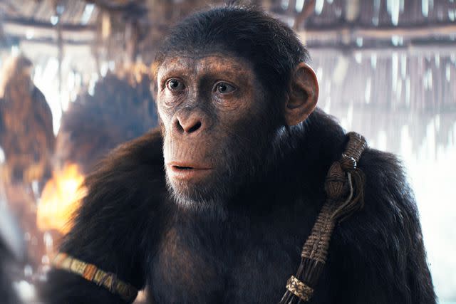 <p>20th Century Studios</p> Owen Teague as Noa in "Kingdom of the Planet of the Apes"