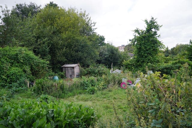 Park Road Allotments