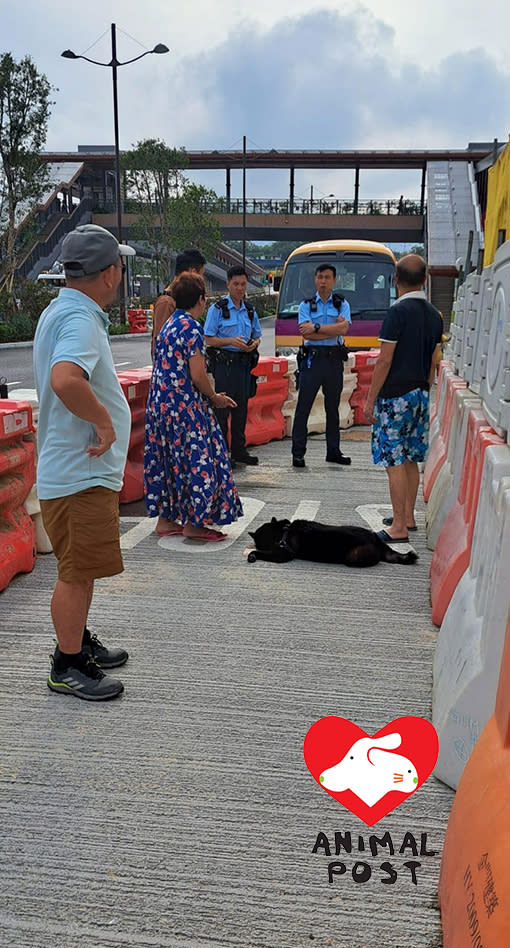 狗主、街坊和警員都在現場。