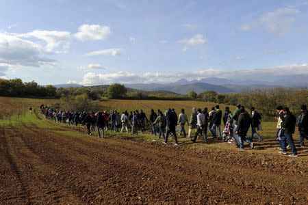Stranded migrants walk next to the Greek-Macedonian border, in search of a cross point, near the village of Idomeni, Greece, December 2, 2015. REUTERS/Alexandros Avramidis